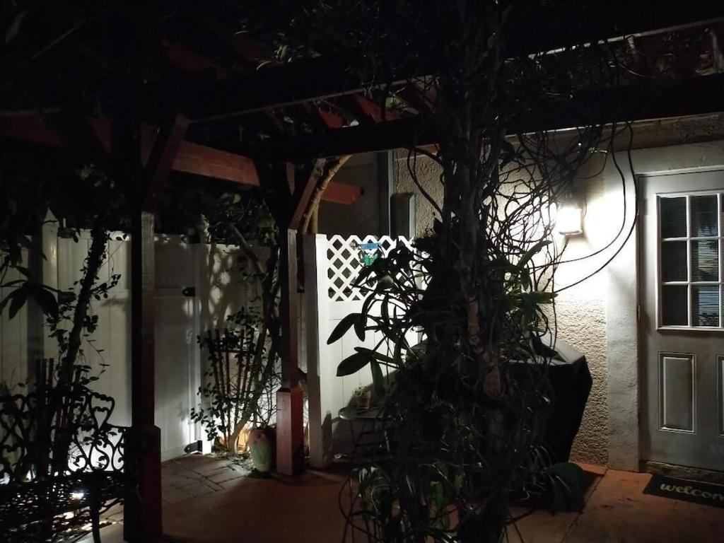 Tampa Bay Beautiful Apartment And Private Jacuzzi Luaran gambar